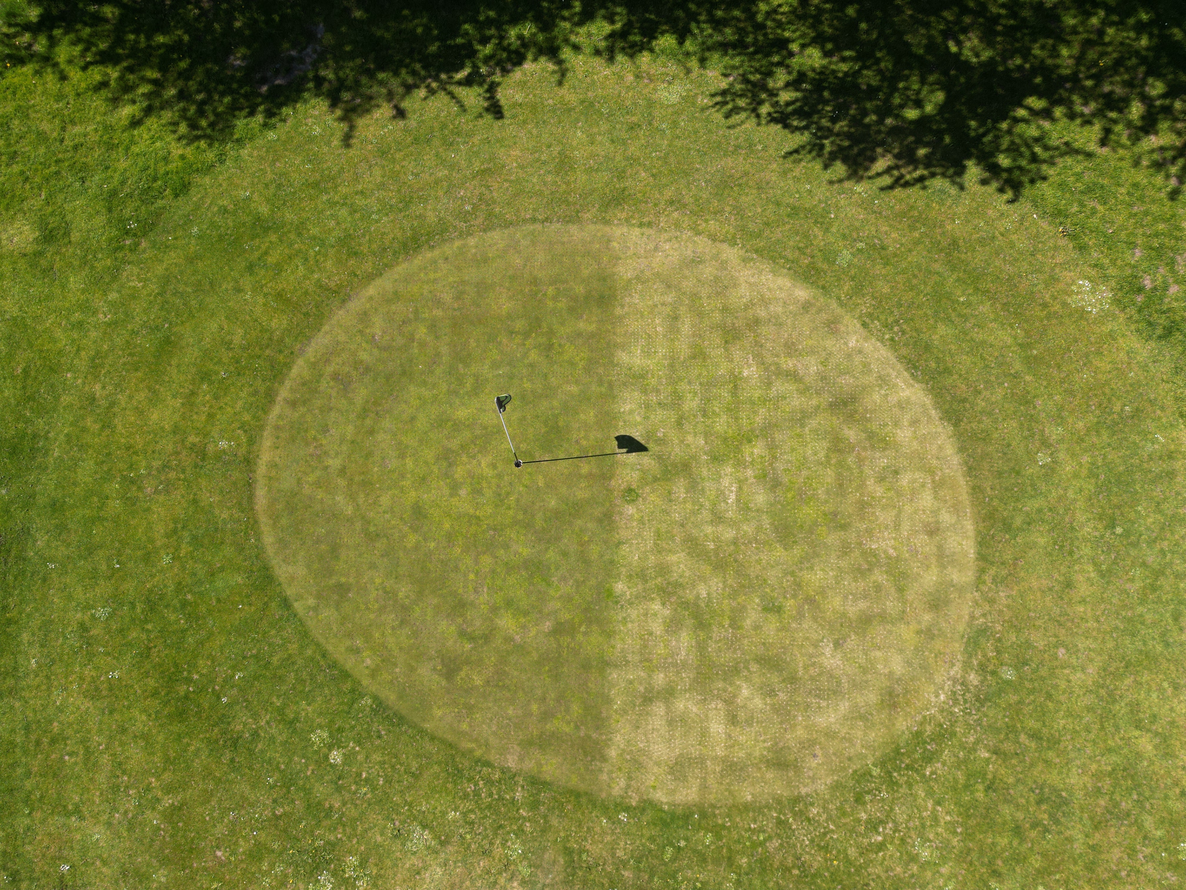 Bild tagen ovanifrån på en av greenerna på Randers Golfklubb, tre veckor efter att ena halvan av greenen har fyllts med Leca och den andra halvan med sand.