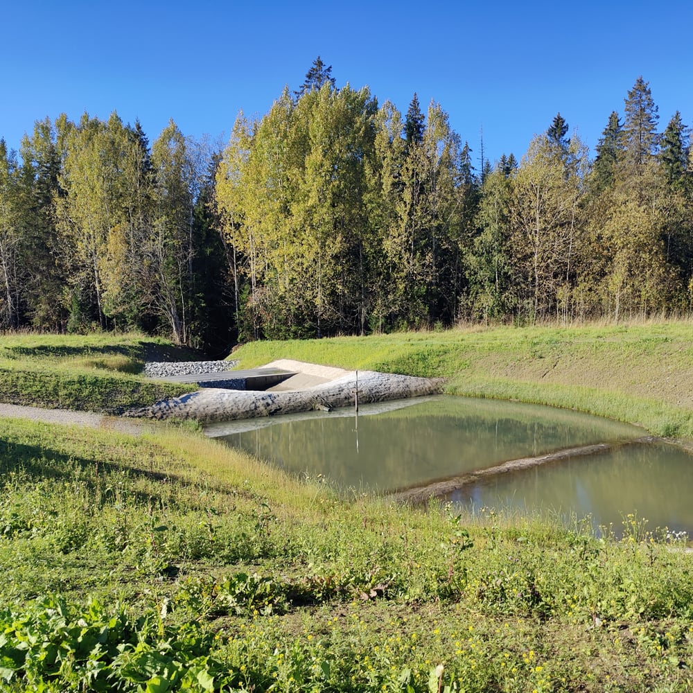 Dagvattendamm i grön miljö som renar och fördröjer vatten innan vidare avledning.