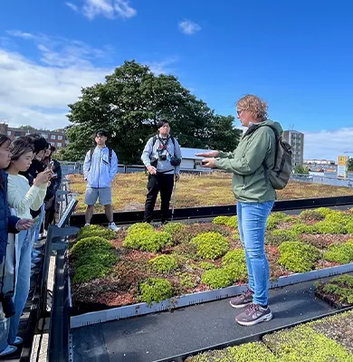 En grupp studenter lyssnar på en guide som berättar om gröna tak på en takterrass med sedumväxter, under en klarblå himmel i stadsmiljö.
