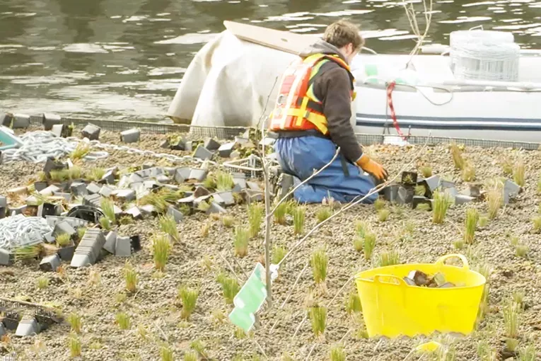 planting_on_floater