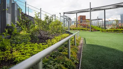 Grön takterrass med planteringar, glasräcken och gångyta i konstgräs, med stadsmiljö i bakgrunden.