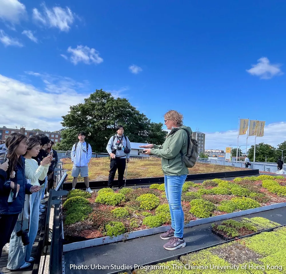 En grupp studenter lyssnar på en guide som berättar om gröna tak på en takterrass med sedumväxter, under en klarblå himmel i stadsmiljö.