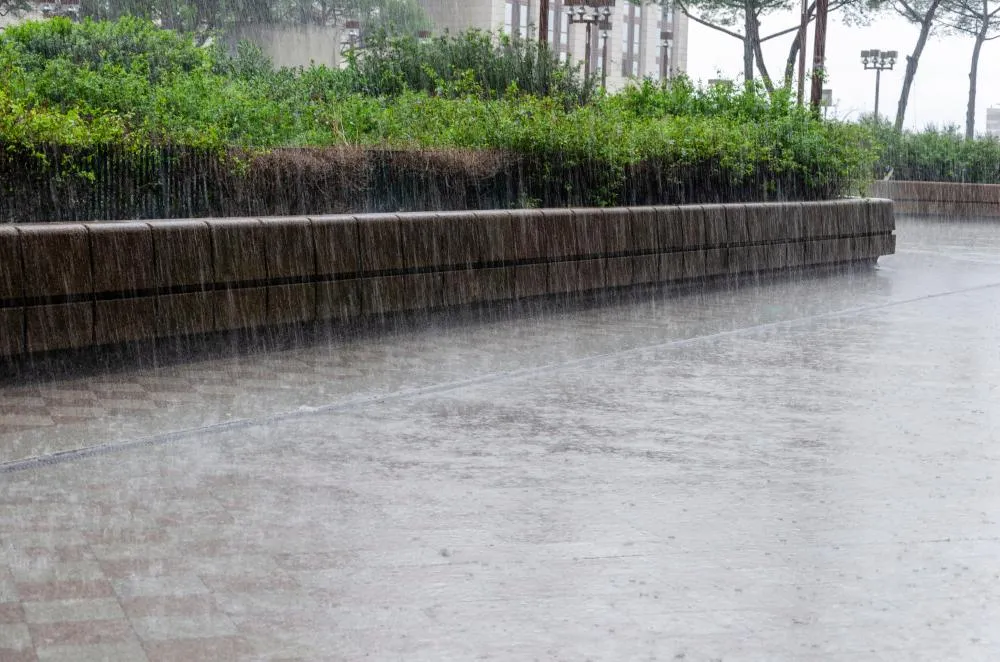 Kraftigt regn över hårdgjord yta i stadsmiljö med planteringar och avrinning av dagvatten.