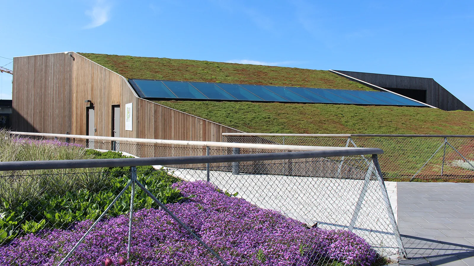 Innergård under byggnation med installationer för mark- och VA-arbete, där rör, kablar och isolerade fundament är utplacerade på en gjuten betongyta, omgiven av bostadsfasader.  Byggnad med träfasad och grönt tak täckt av vegetation, där solpaneler är integrerade i takytan, omgiven av gångvägar, räcken och blommande växtlighet i förgrunden.